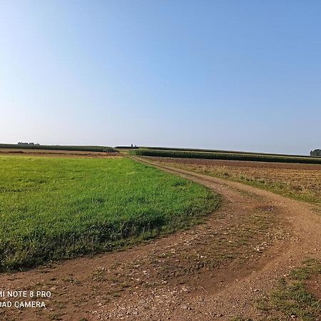 Laka  Dom Z Ogrodemヴィラ エクステリア 写真